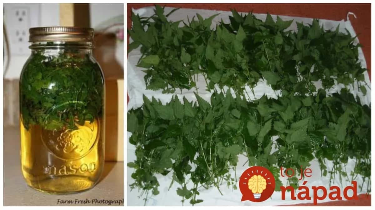 Zbohom vypadávanie vlasov a polámané končeky: Táto kúra starých materí tromfne aj tie najdrahšie masky z lekárne!