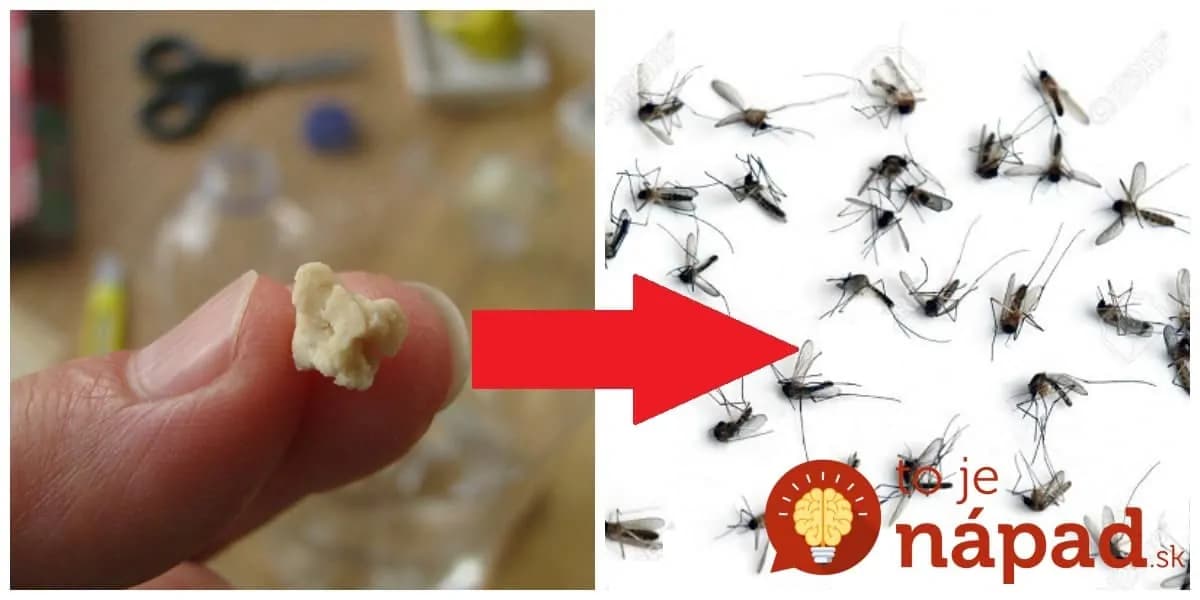 Droždie nie je len do koláčov: Naučte sa tento jednoduchý trik a máte od komárov pokoj doma aj na terase!