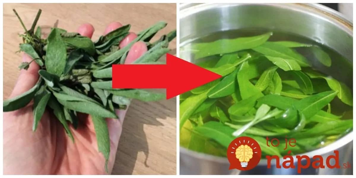 Zabudnite na čaj, toto je stokrát silnejšie: Týmto zázrakom nás kurírovala už naša starká – skúste čo dokáže a nedáte ho z ruky!