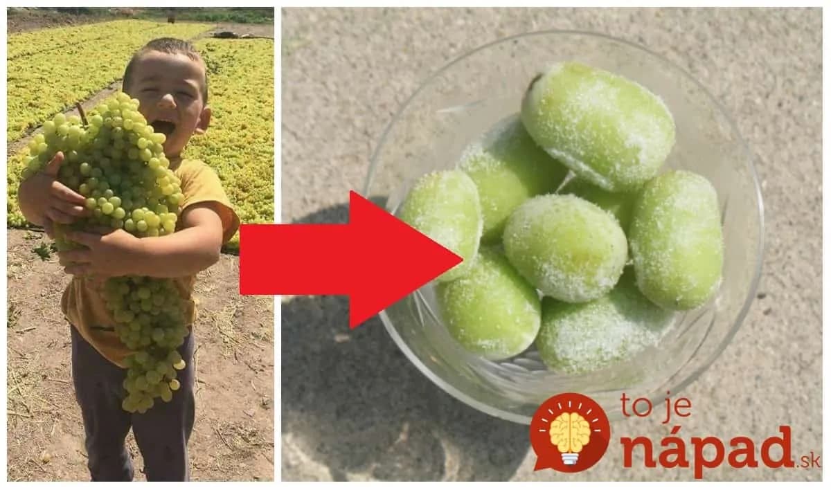 Toto by mal vedieť každý, kto zberá úrodu: Tušili ste, čo sa stane hroznom, ak ho dáte na 1 noc do mrazničky?
