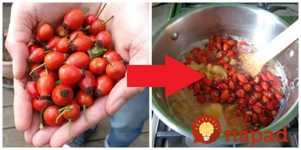 Šípkový čaj vám zmení život: 13 účinkov, ktoré by mal poznať úplne každý!