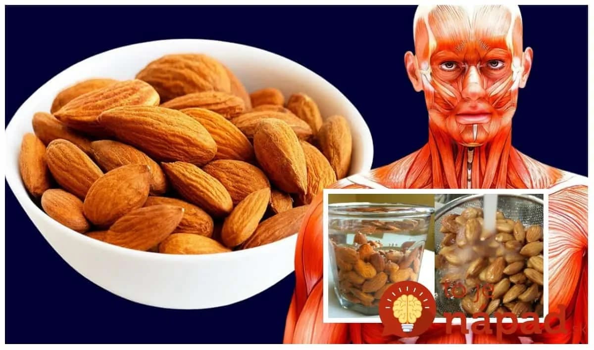 Namočte ich noc a ráno len zjedzte: Tieto úžasné veci sa stanú s vaším telom, keď začnete jesť máčané mandle – začnite už zajtra!