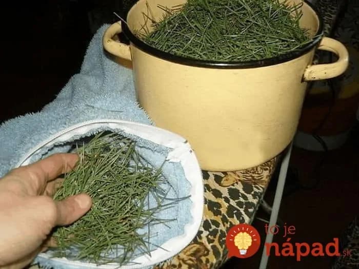 Tento čaj mi pred rokmi poradil dedo a robím ho dodnes: Napraví nespavosť, je záchranou pre zrak aj boľavé kosti – zázrak, ktorý nestojí ani cent!