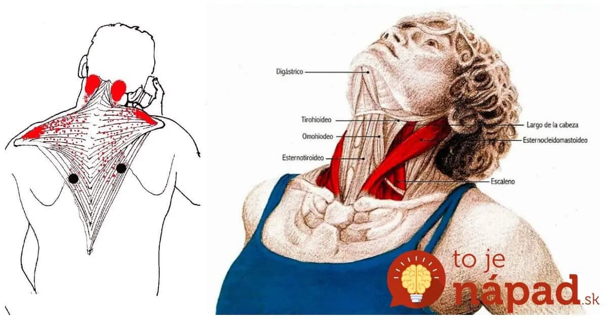 Český terapeut ukázal zázračný spôsob, ako uvolniť krčnú chrbticu za pár minút: Toto zastaví bolesť a budete sa cítiť ako znovuzrodení!