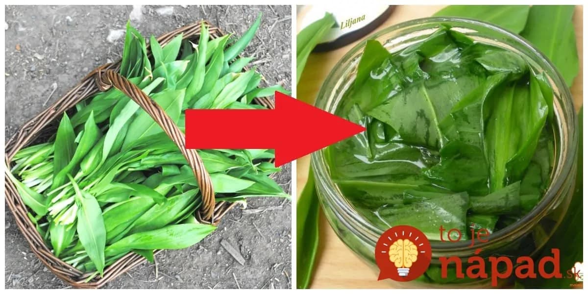 Nakrájala 3 hrste medivedieho cesnaku a len zaliala olejom: Čo z toho o pár dní vzniklo vyvážia zlatom v každej rodine!