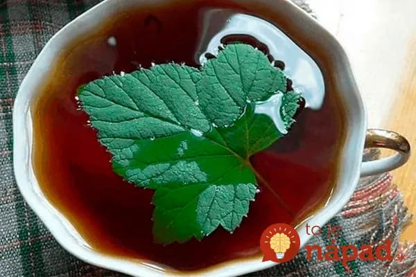 Toto by mala na jar poznať každá žena po 40-tke: Tieto listy máte na záhrade úplne zdarma, ale ich účinky sú ohromné – len zalejte vodou!