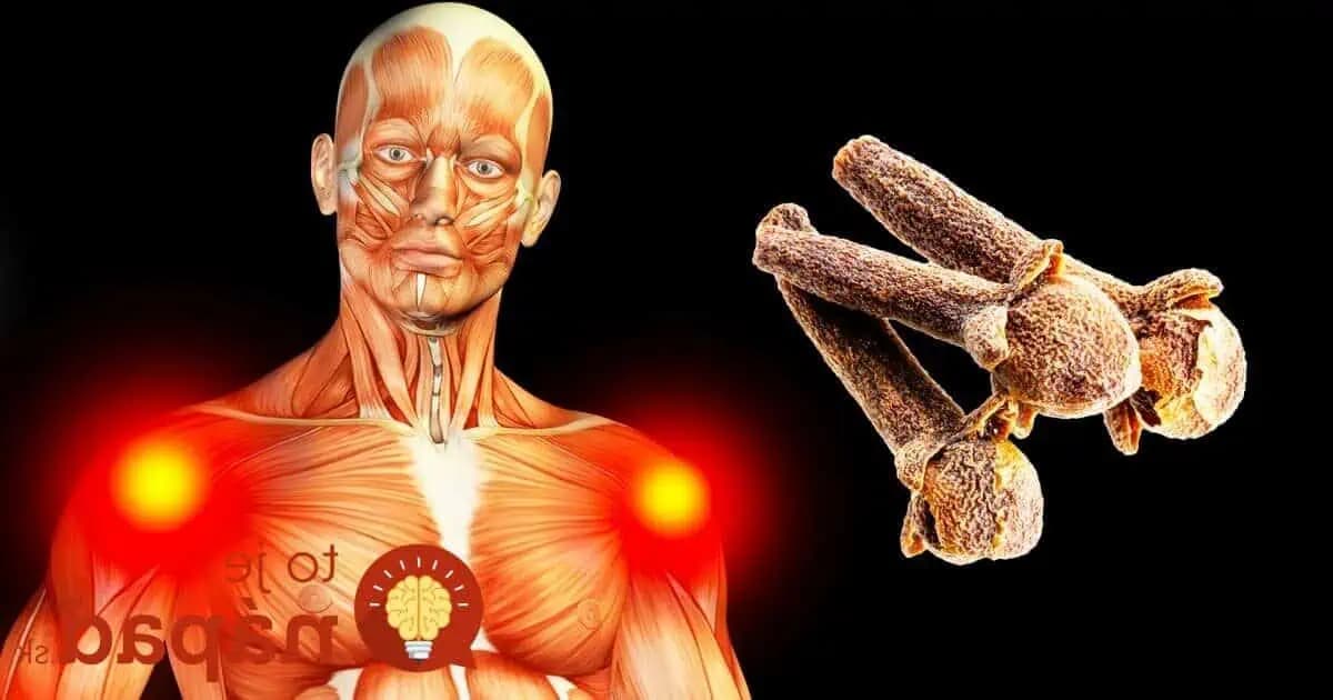 Toto sa stane s vaším telom, ak si dáte každý deň 2 klinčeky: Skúste to dnes pred spaním a konečne si poriadne oddýchnete!