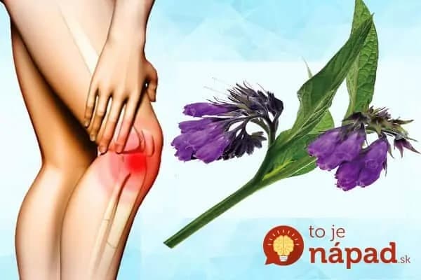 Túto rastlinu by mal poznať každý, koho trápia kolená: Bolesť zlikviduje za 3 dni – stokrát lepšie ako tabletky proti bolesti!