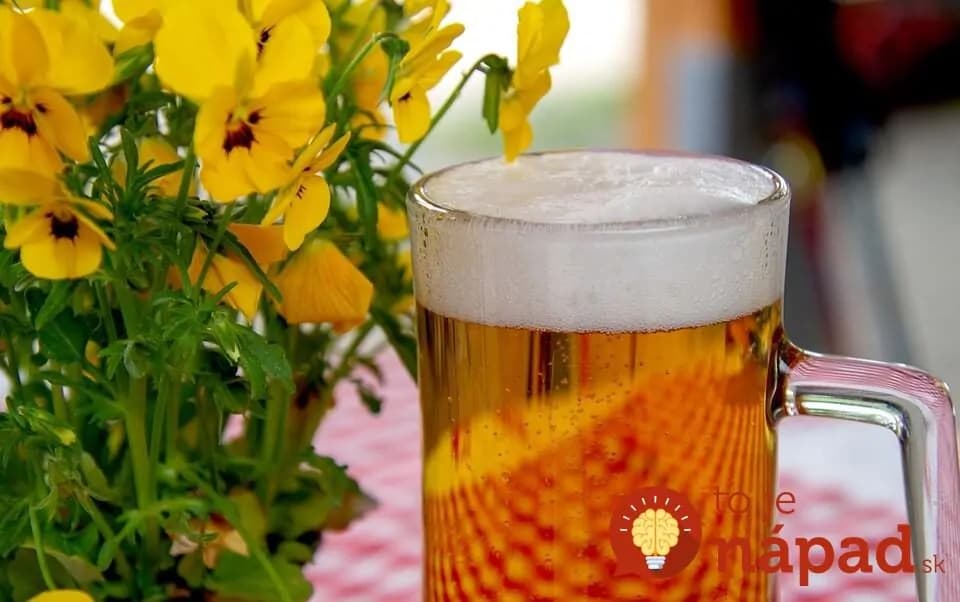 Pivo chráni obličky, znižuje cholesterol, posilňuje kosti a zlepšuje pamäť: Toto je 10 dôvodov, prečo si dopriať zlatistý mok!