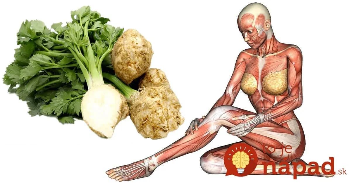 Toto sa stane s vaším telom, keď začnete jesť obyčajný zeler: Začnite s tým už dnes + najlepšie recepty!