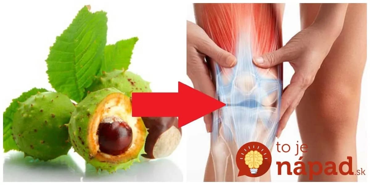 Keď sú gaštany, vždy nazbieram pár hrstí a zalejem obyčajným olejom: Je to poklad do každej rodiny!