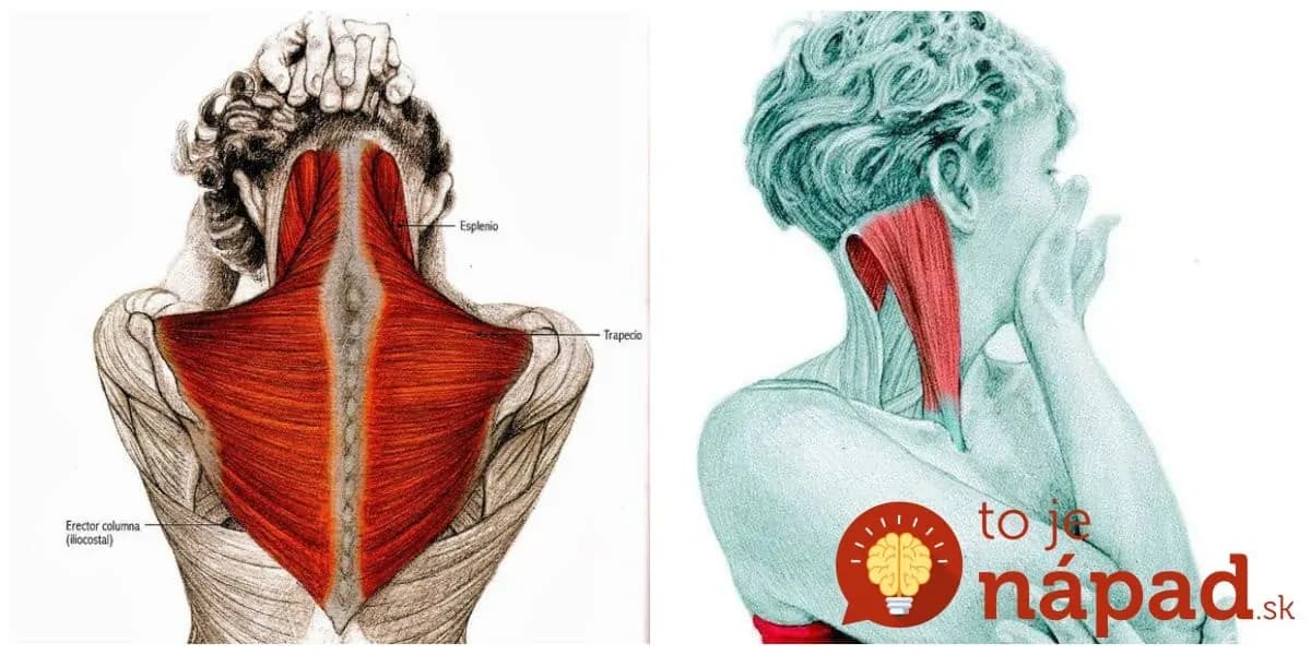 Cvičím len 2 týždne a chrbát mám ako za mlada: Česká trénerka ukázala najlepšie naťahovacie pohyby pre zdravú chrbticu!