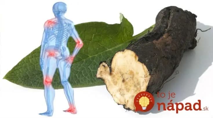 Existuje len jedna rastlina, ktorá dokáže zachrániť vaše kosti a kĺby: V októbri má najväčšiu silu!