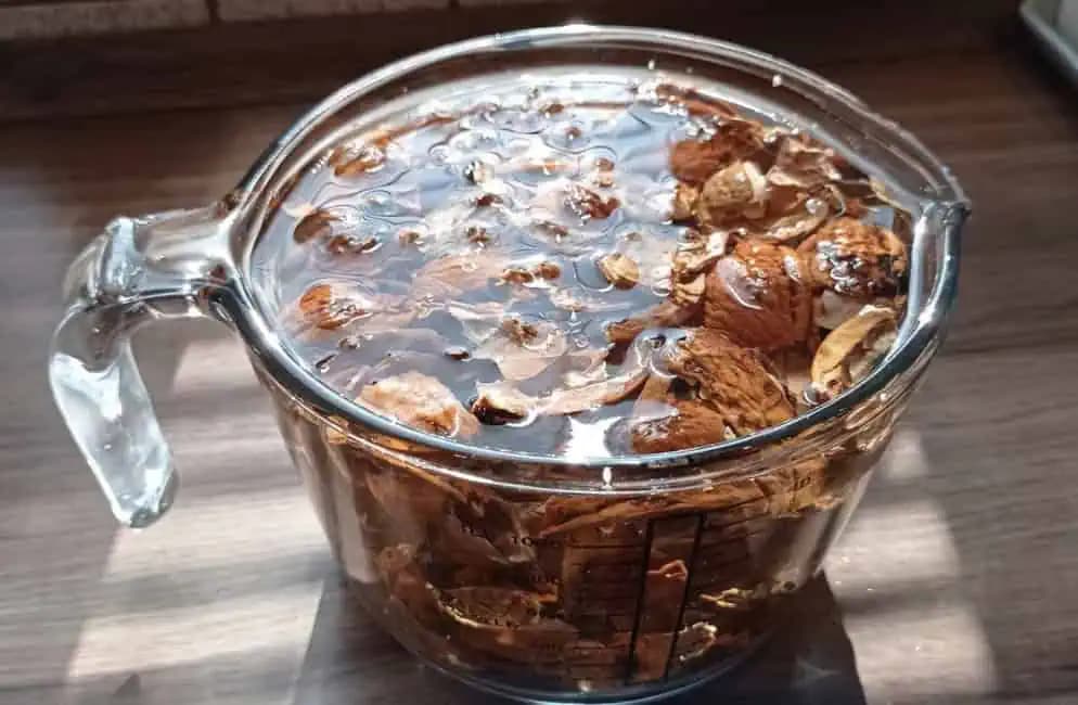 Úžasné účinky orechových škrupín ktoré by mal (nielen) v týchto dňoch poznať úplne každý!