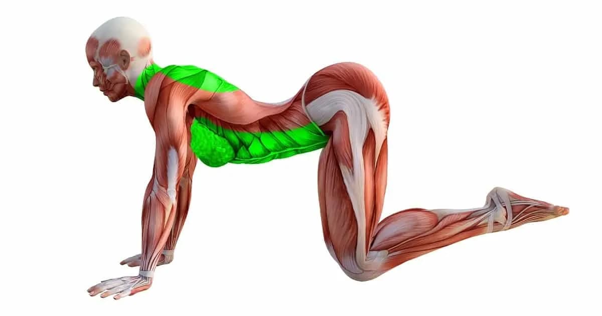 Zlepšia pohyblivosť aj po 50-tke a vyformujú postavu:10 jednoduchých cvikov, ktoré pália tuk a zrýchlia metabolizmus!
