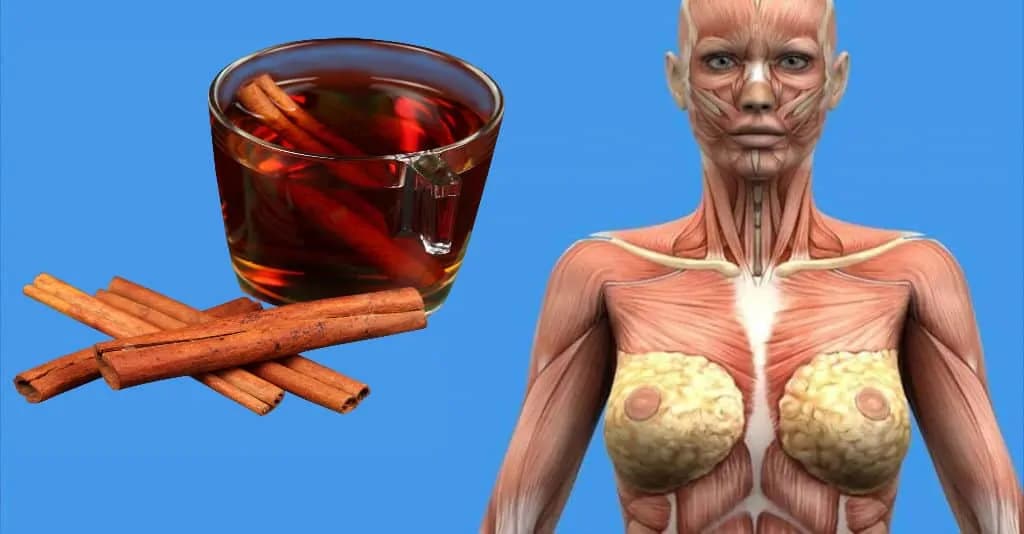 Toto sa stane s vaším telom, keď začnete piť škoricový čaj: Stačí pár dúškov denne a ten účinok vyvážite zlatom!