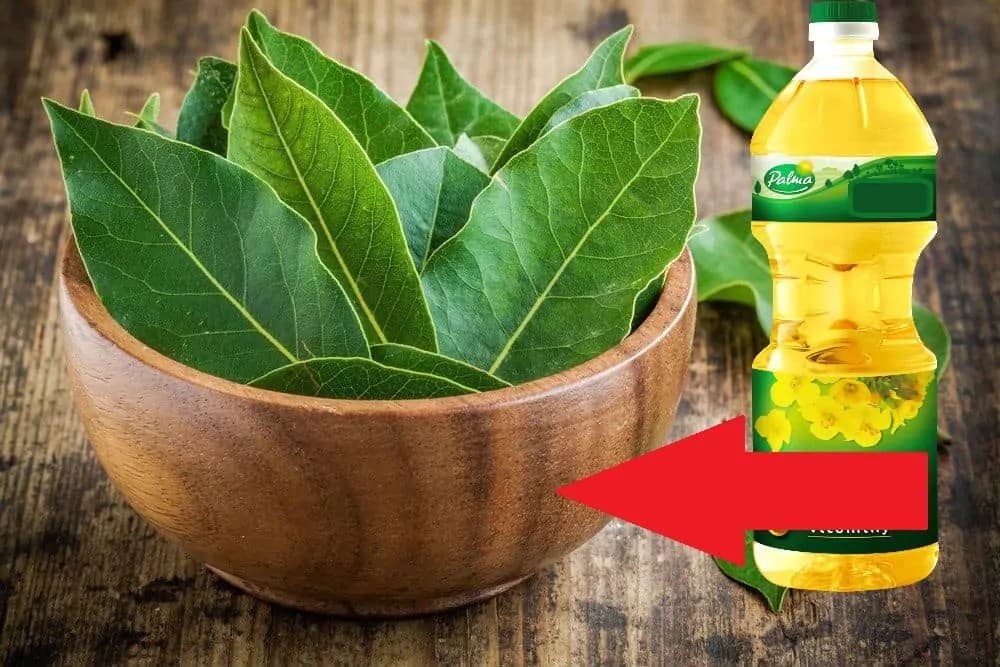 Toto radím každému, koho bolia kĺby, svaly a má problém s kŕčovými žilami: Recept našich dedov schová do vrecka aj drahé lieky z lekárne!