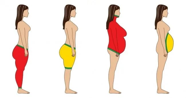 Nemusíte dvíhať činky ani robiť brušáky: 21-dňový plán chôdze, ktorý roztopí tuk, vyformuje svaly a napraví zdravie!