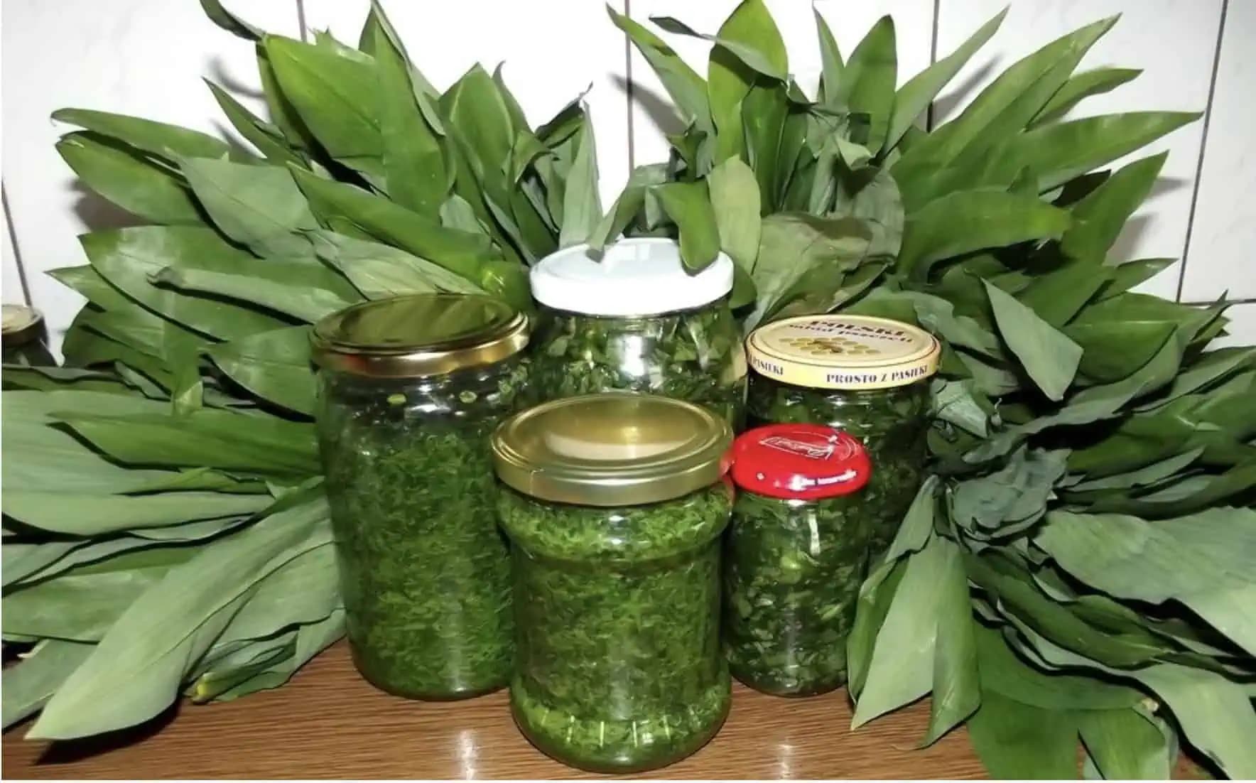 Medvedí cesnak dajte do pohára na zaváranie a zalejte octom: RECEPT, ktorý si strážim ako oko v hlave – poklad do každej rodiny!