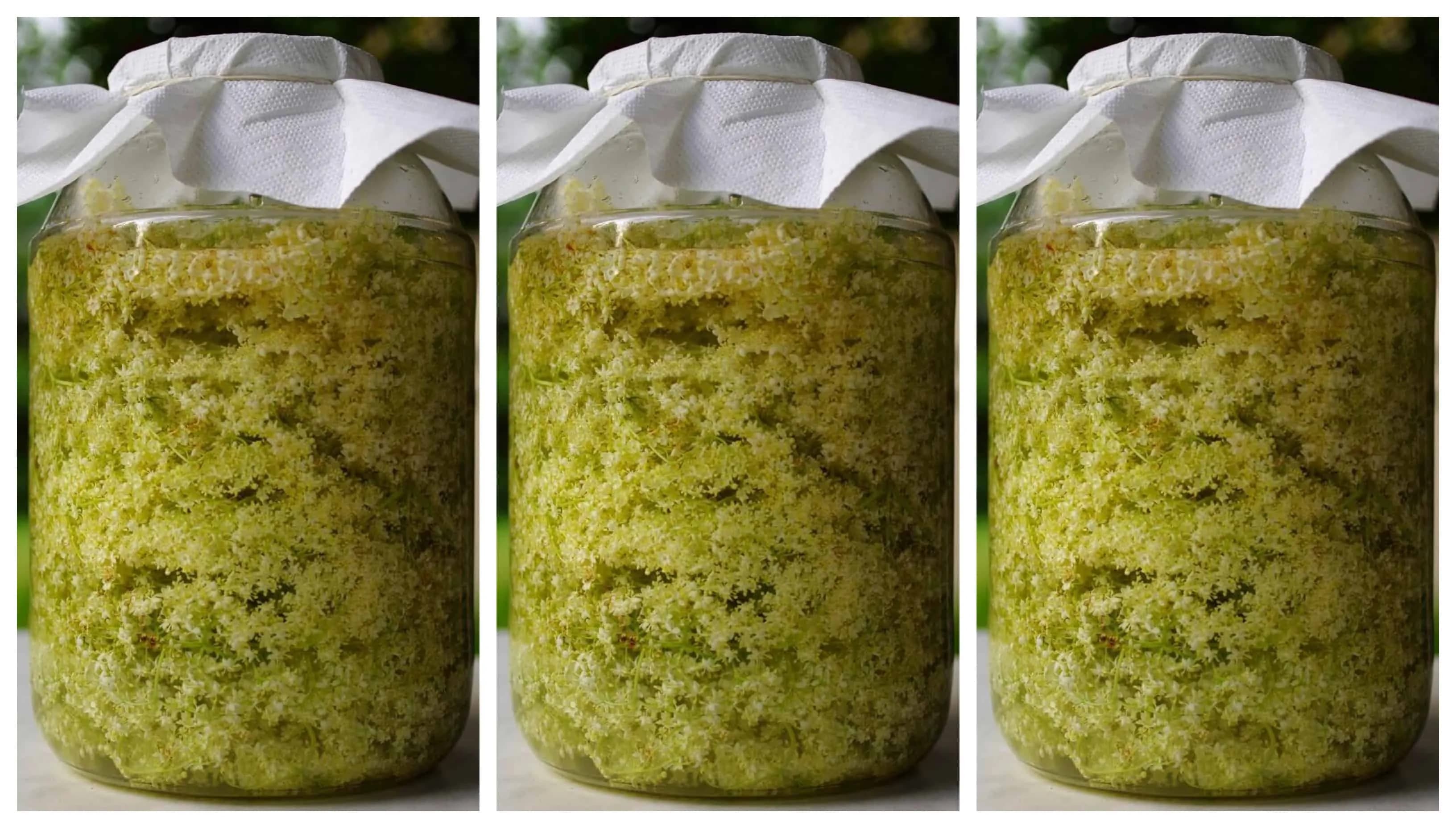 Naplňte pohár obyčajným rastlinným olejom a kvetmi bazy: Čo z toho o pár dní vznikne vyvážite zlatom v každej rodine!