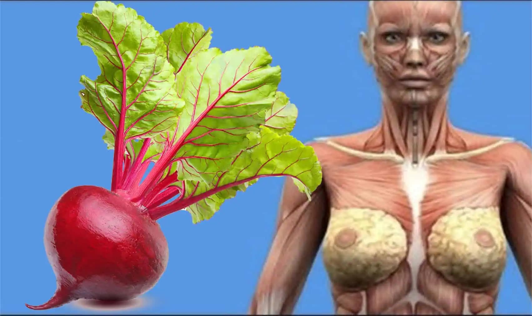 Zabudnite na drahé lieky: Obyčajná cvikla je záchrana pre zrak, srdce aj slabú imunitu + 17 najlepších receptov!