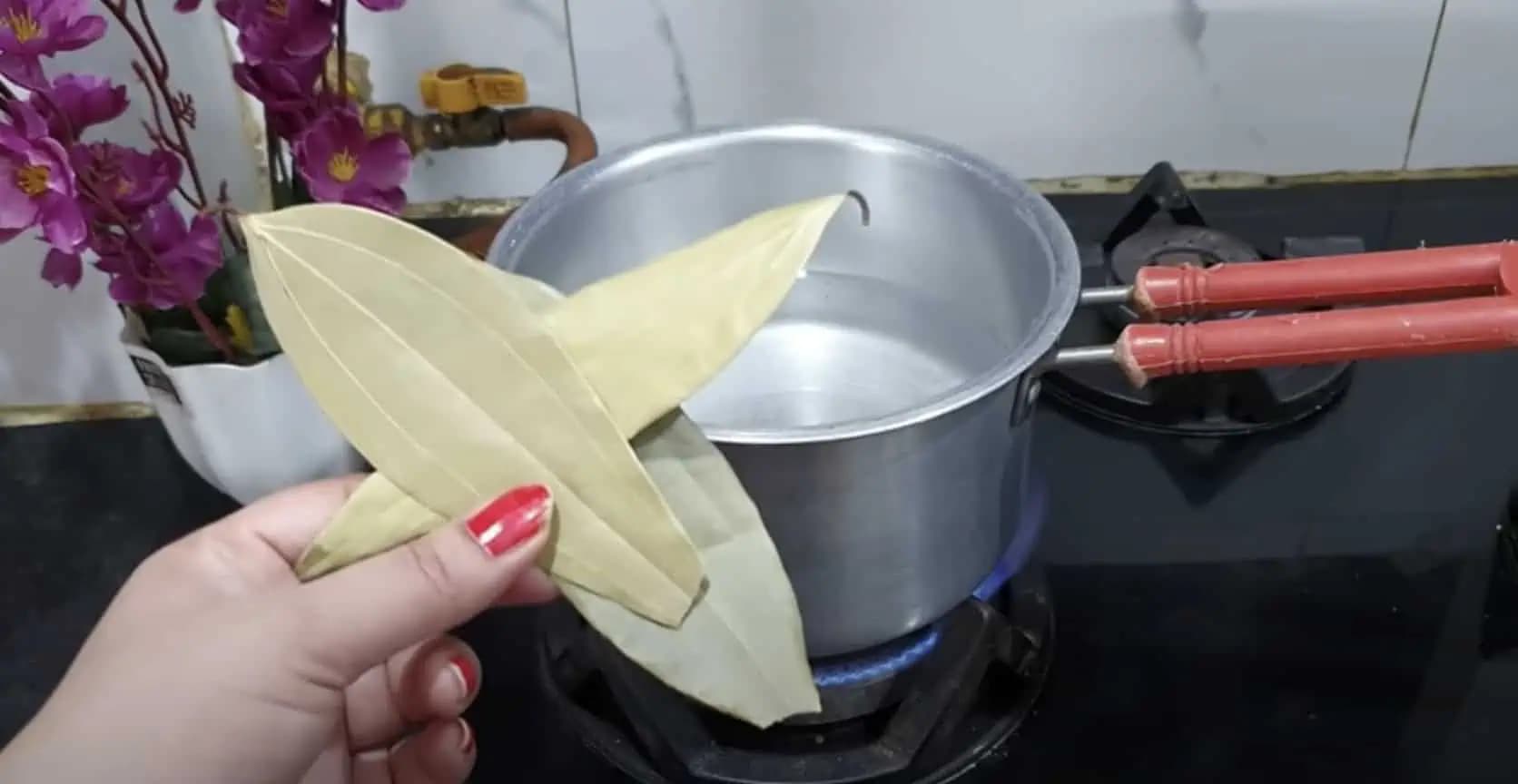 3 bobkové listy varím vo vode so škoricou podľa tohoto receptu: Záchrana pre kĺby, vyčistí hrubé črevo a vyplaví tuk!