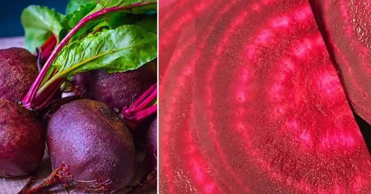 V červenej repe je obrovská sila: Toto je 12 dôvodov, prečo by nemala chýbať na našom jedálničku!