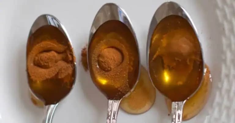 Med a škorica – zmes, ktorá lieči 15 chorôb: Účinok velebia aj lekári, dobre si uložte tento recept!