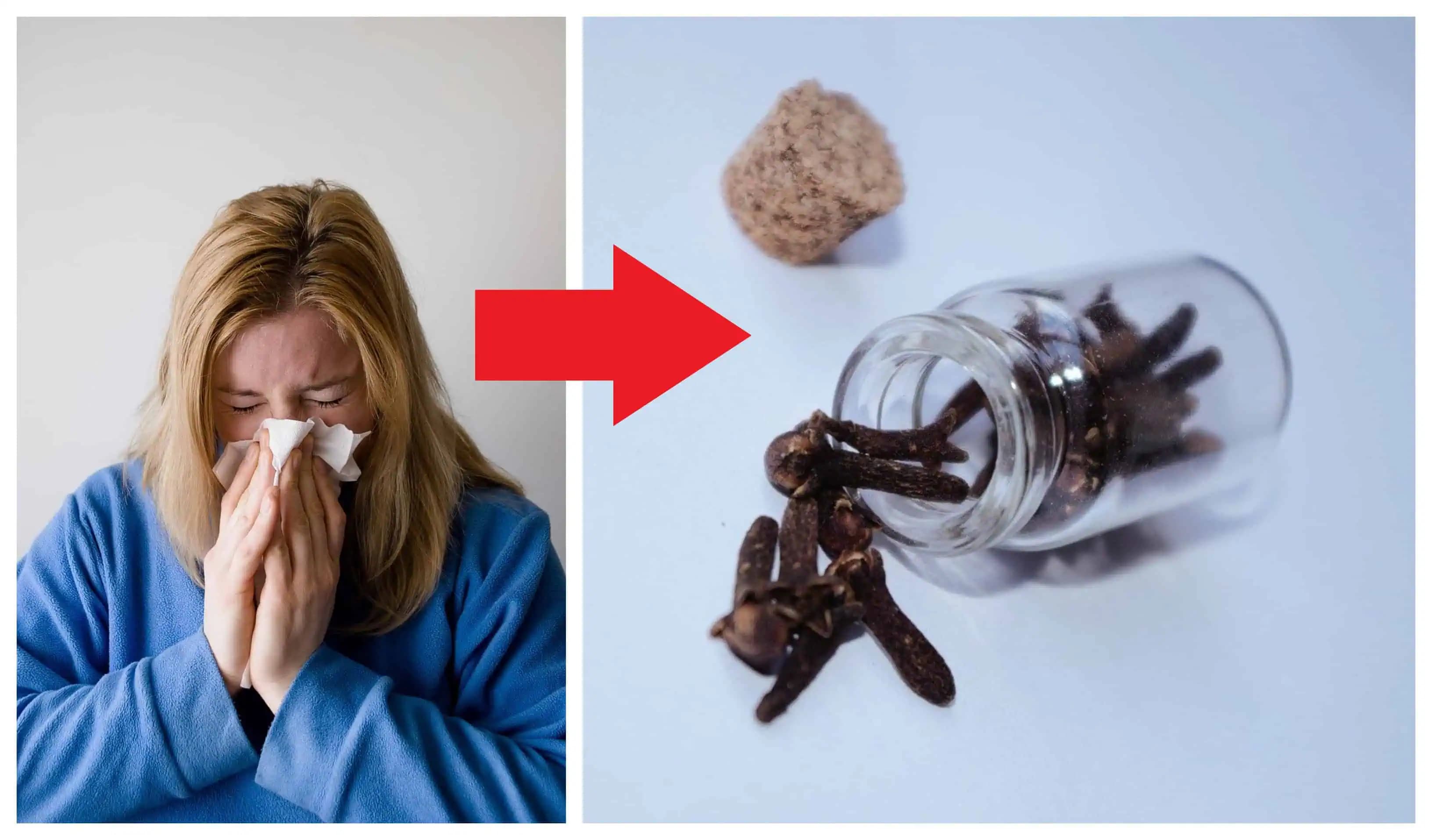 5 prírodných liekov, ktoré ochránia celú rodinu pred chrípkou a nachladnutím!