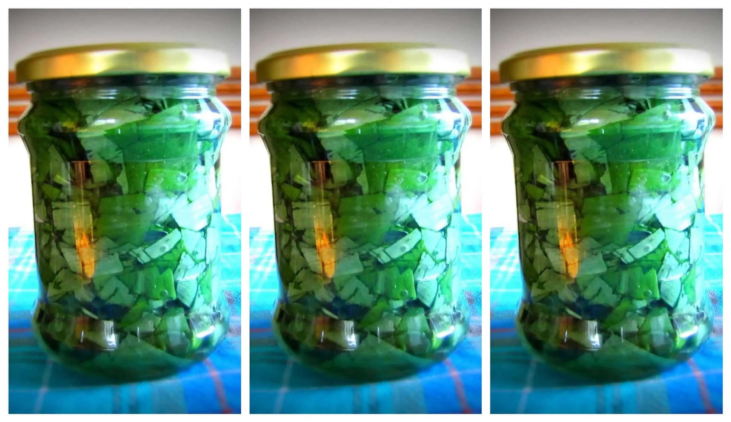 Medvedí cesnak v oleji je najmocnejším LIEKOM jari: Takto jednoducho ho pripravíte!