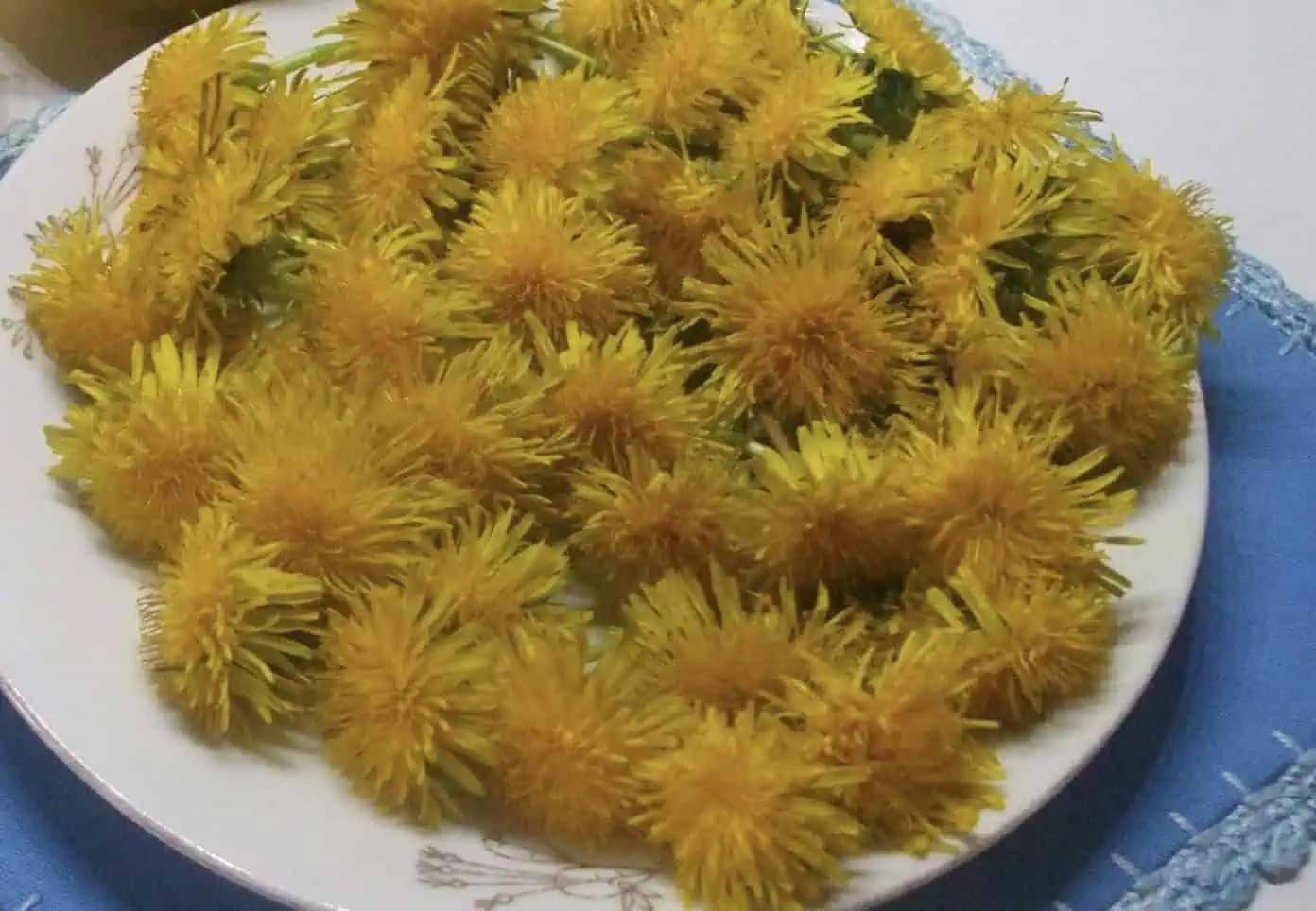 Púpavový džem a jeho výhody pre zdravie