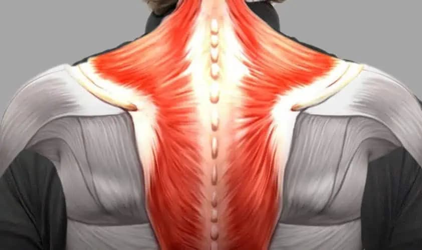 Chiropraktik ukázal, ako uvoľniť svalové uzly na krku a ramenách už za pár minút: Zbavte sa bolesti rýchlo a efektívne!