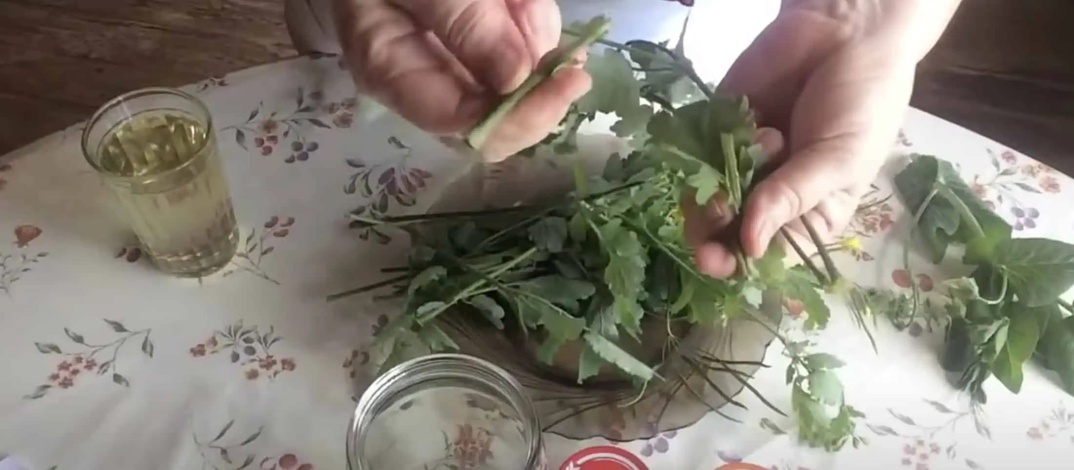 100 rokov starý recept, ktorý lieči bradavice aj kurie oko za pár dní: Tento POKLAD používam celý rok!