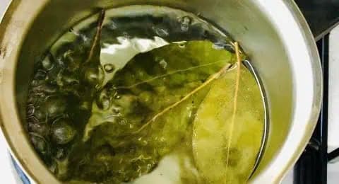 Bobkový list nepridávajte len do pokrmov: Využite jeho liečivú silu na upevnenie svojho zdravia!