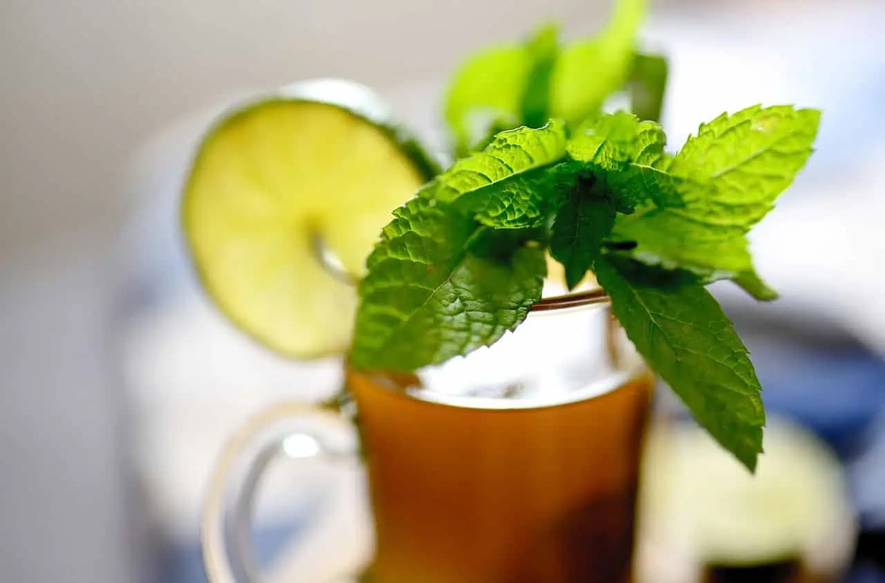 Babka mi poradila, čo všetko medovka dokáže a je to malý ZÁZRAK: Je úplne zdarma a na nespavosť, opary a zápaly lepší liek nepoznám!