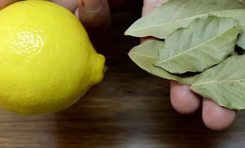 Urobte niečo pre svoje zdravie: Zmiešajte citrón s bobkovým listom a budete za tento recept vďační!