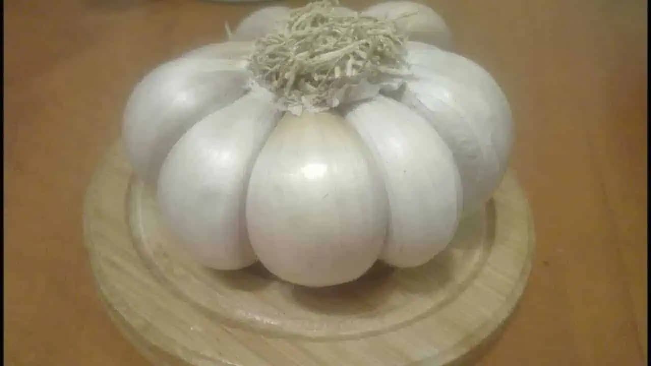 Babička ma naučila fantastický RECEPT na dusivý kašeľ a hlien v pľúcach: 2 dni a ani neviem, že som bola chorá!