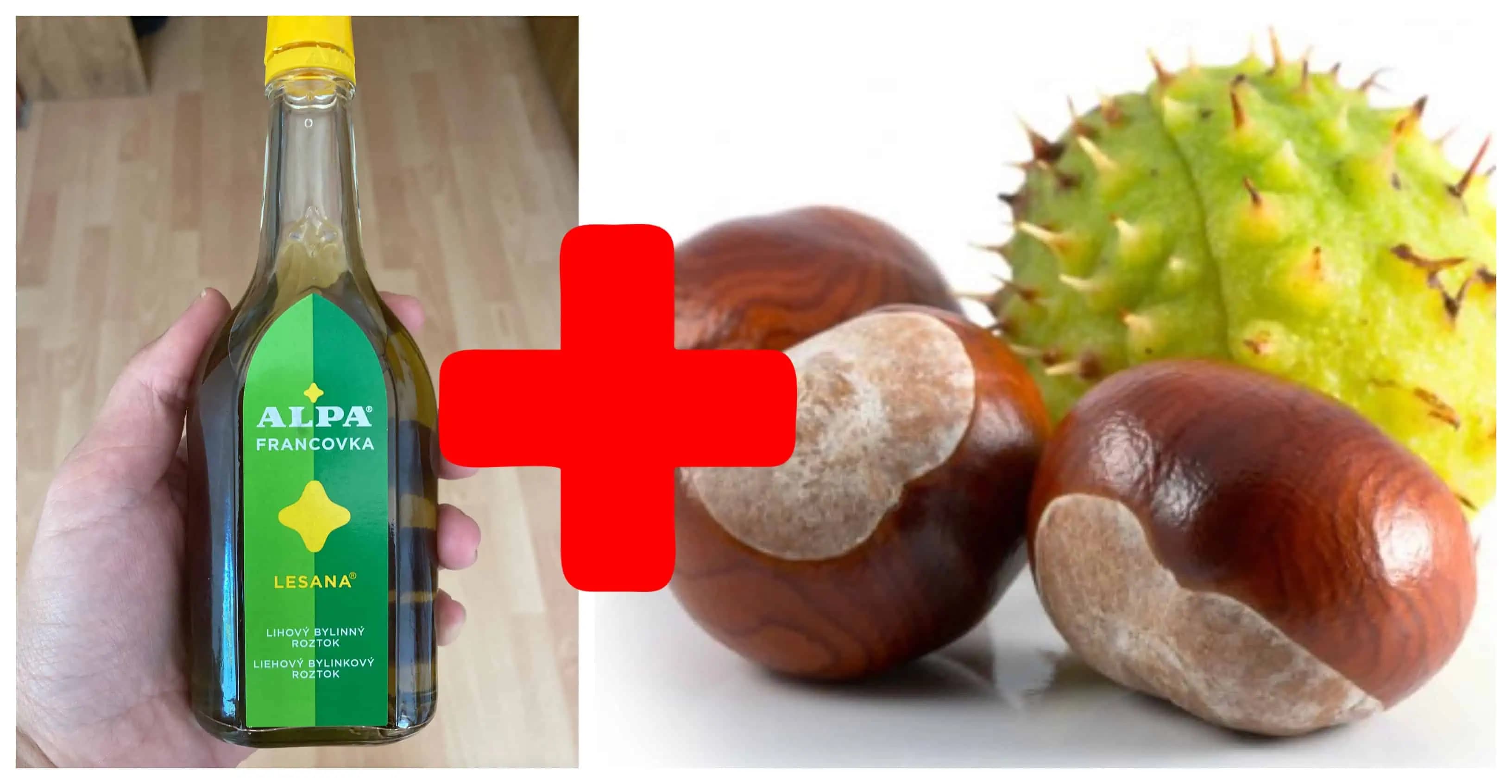 Zalejte 15 gaštanov obyčajnou ALPOU a zapamätajte si tento účinok na celý život: Najväčšia pomoc na boľavé kĺby, kŕčové žily a kosti!