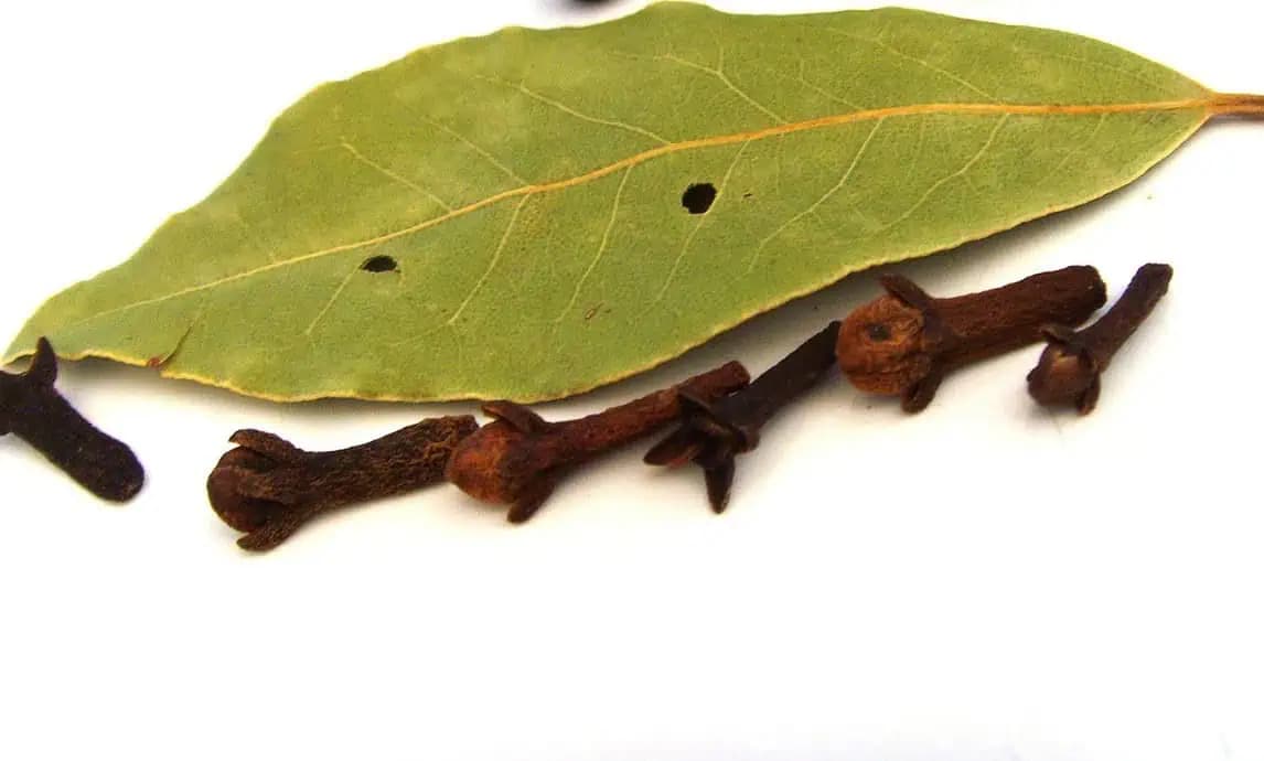 Vypite tento nápoj každý deň pred spaním a vaše telo sa vám poďakuje: Super prostriedok na posilnenie imunity, aj na prevenciu respiračných chorôb!