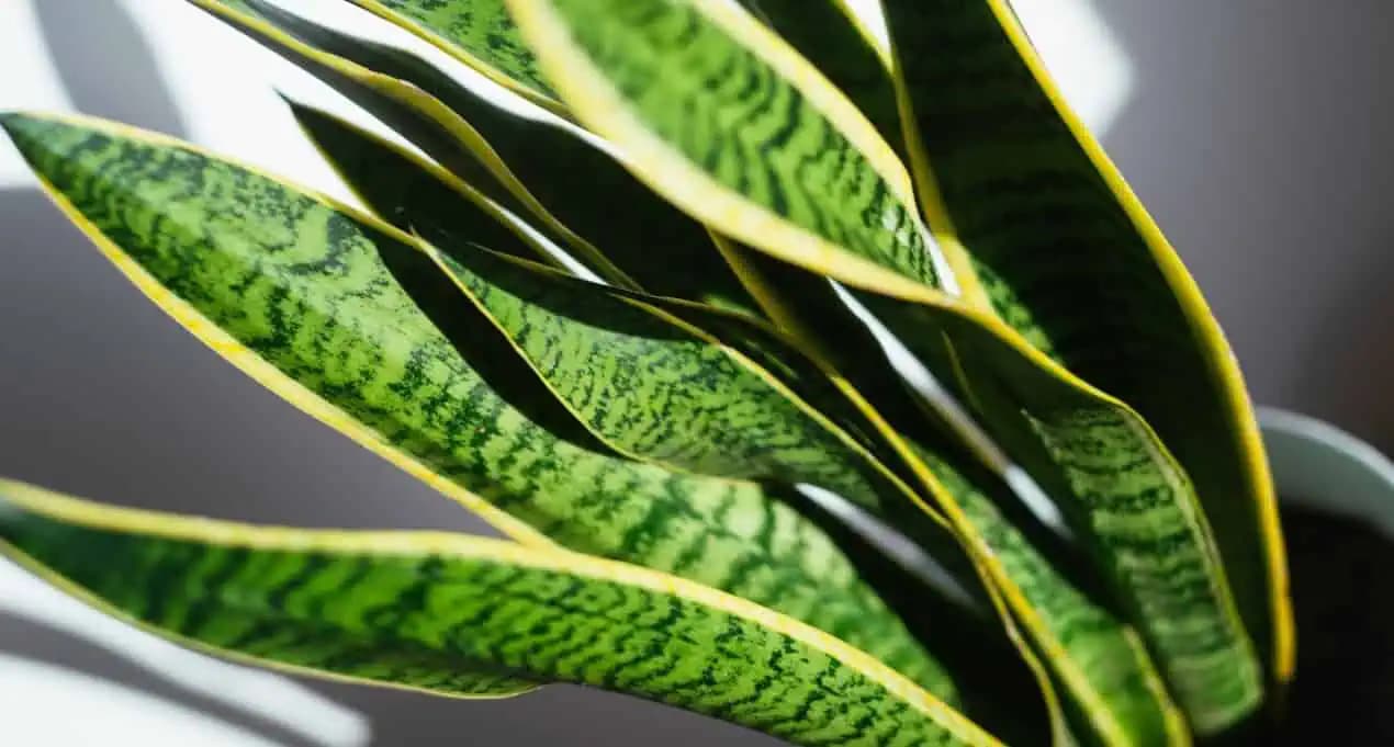 10 dňový tréningový plán: Zbavte sa po sviatkoch brušného tuku a vyformujte si postavu!