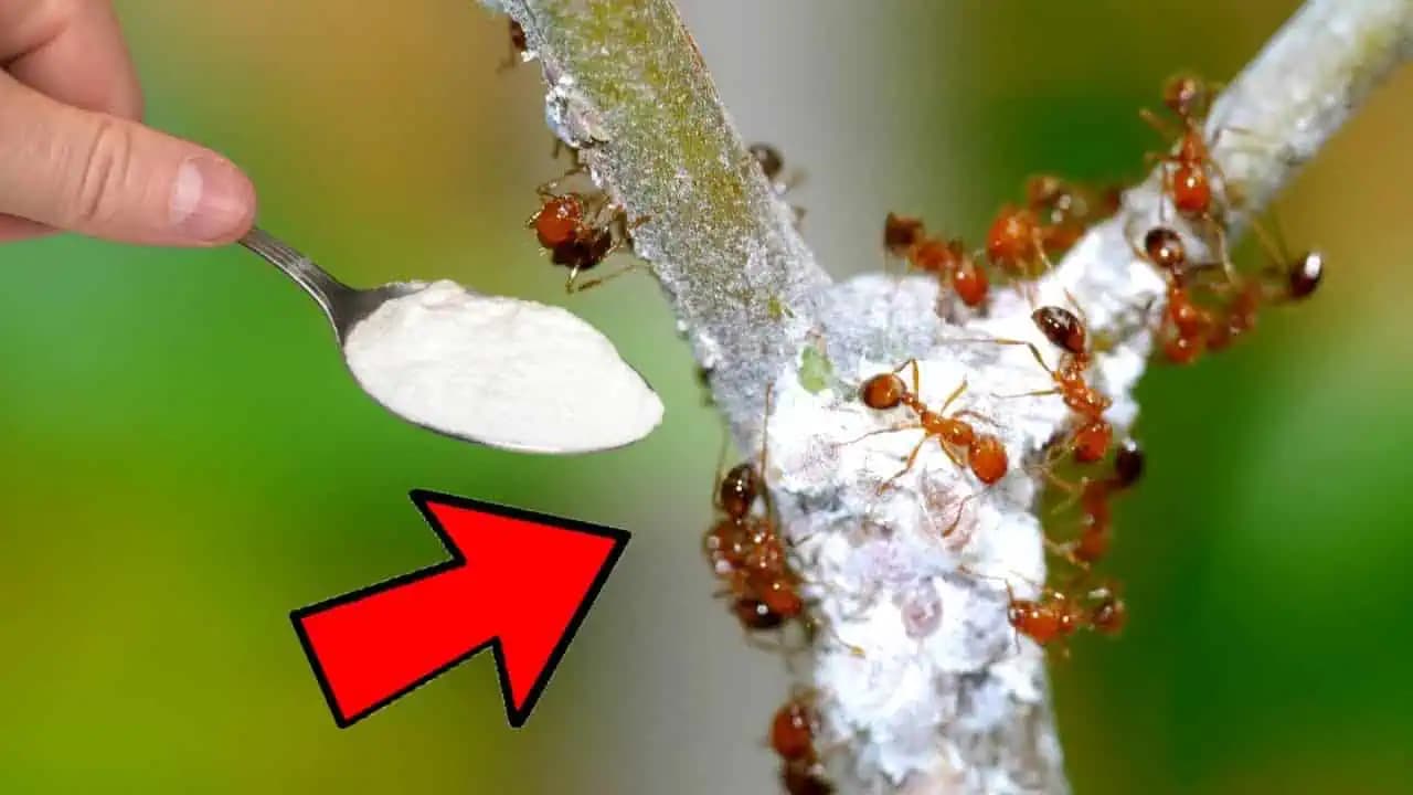 Účinný nápoj, ktorý rozpúšťa tuk a kilogramy: Kto chce po 50-tke schudnúť, mal by poznať tento RECEPT!