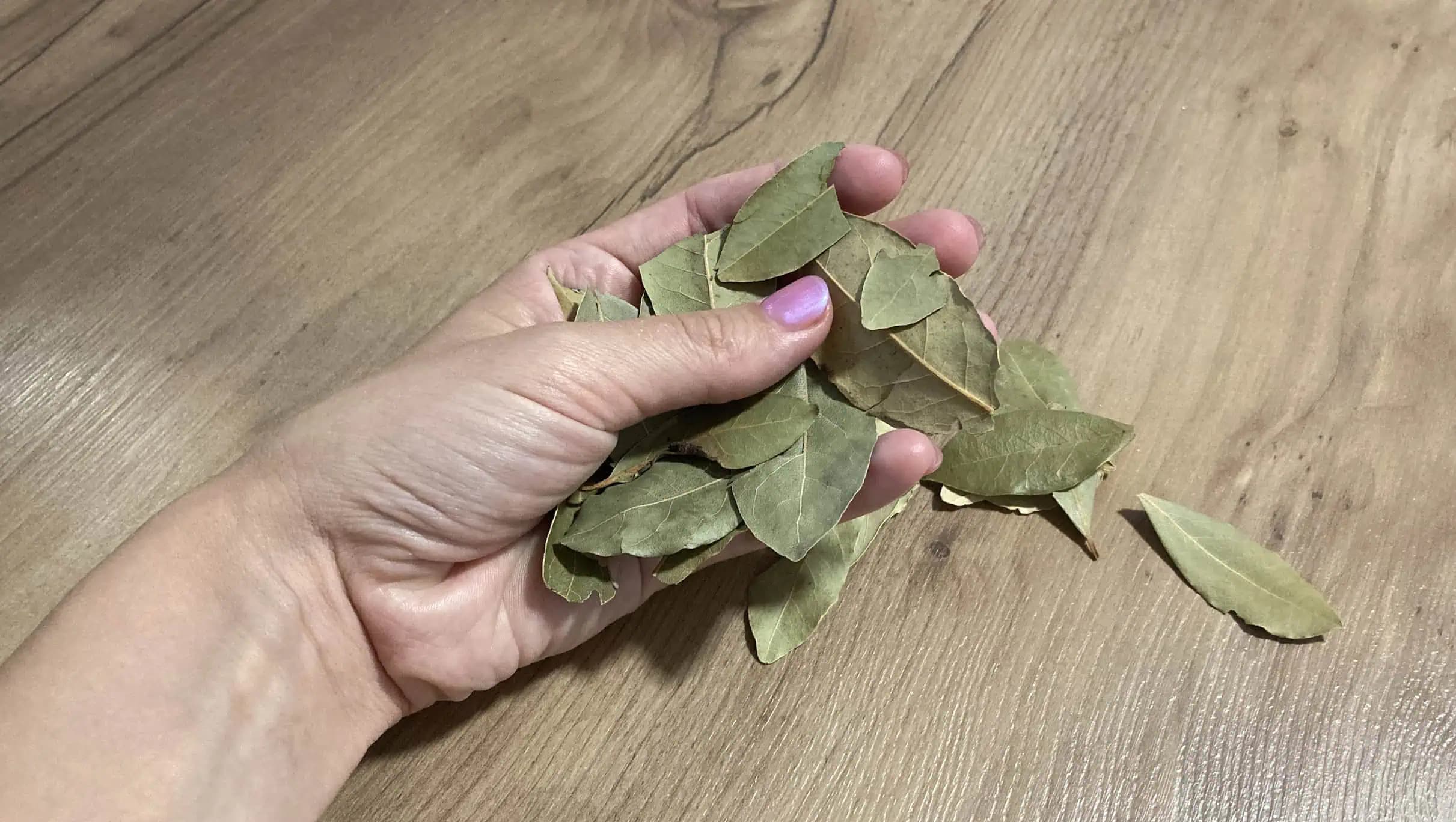 Babka vždy zobrala pár bobkových LISTOV a dala ich do hrnca s masťou: NIKDY by som nečakala, že raz tento nápad vyvážim zlatom!