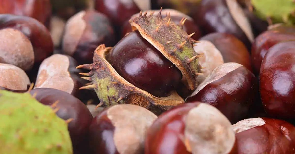 Majú OBROVSKÚ moc: Od dnešného dňa ich začnete zbierať!