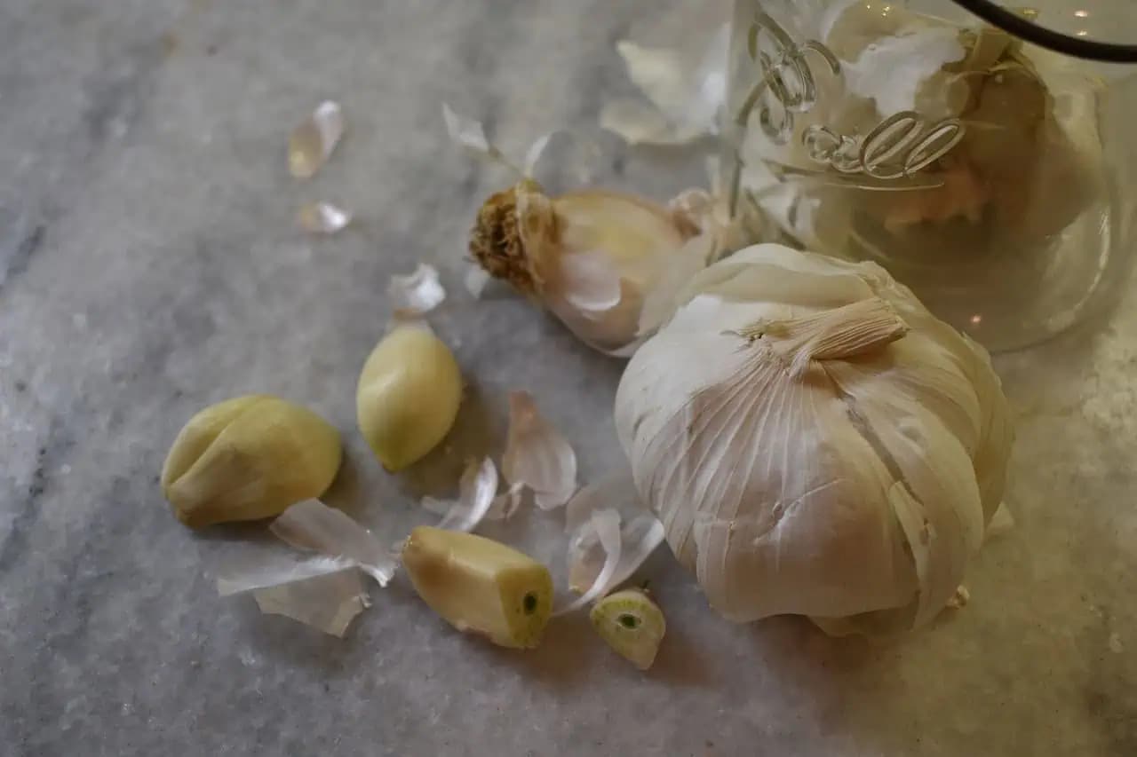 Ak jedávate cesnak takto, je to veľká chyba: Zbavíte sa tak všetkých cenných látok, ktoré obsahuje!