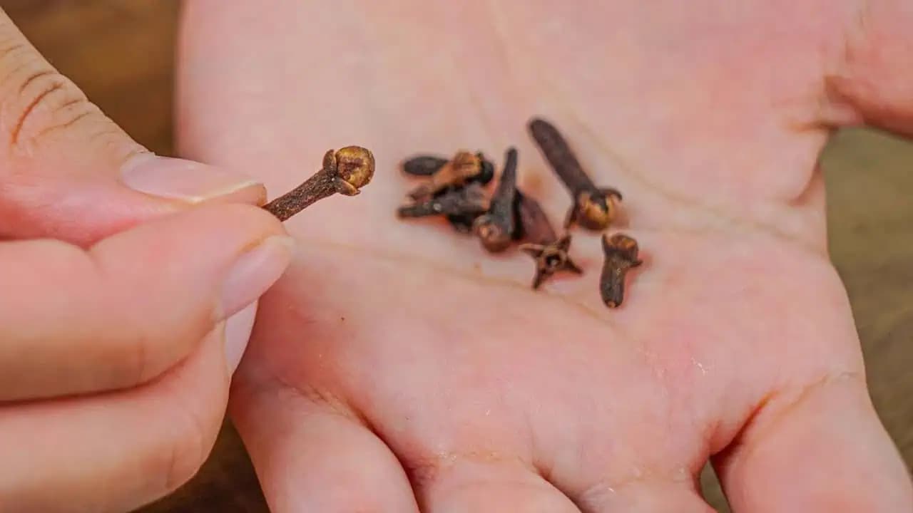 Tento RECEPT porazí kašeľ do troch dní, učila nás starká: Recept na bronchitídu a všetky dýchacie ťažkosti!