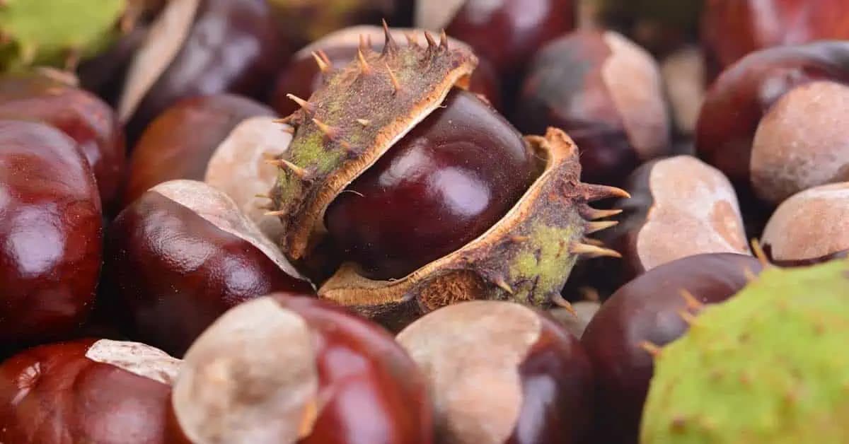 UKRÝVAJÚ obrovskú silu! Od dnešného dňa ich začnete zbierať!