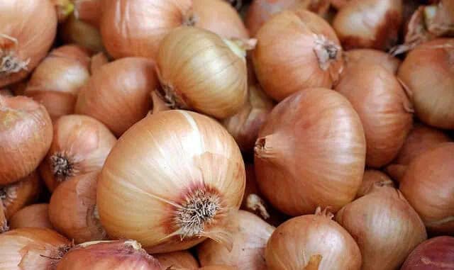 Neustále NABERÁTE na váhe? Dôvodom môže byť pečeň plná tuku: Recept, ktorý ju prečistí v krátkom čase!