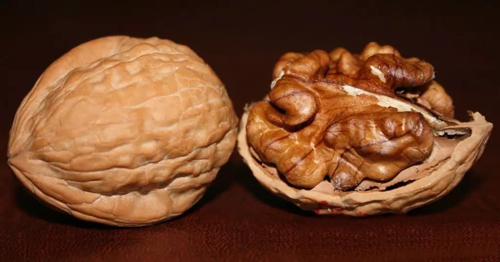 Málokto to vie: Čo sa stane, ak zjete 7 vlašských orechov každý deň?