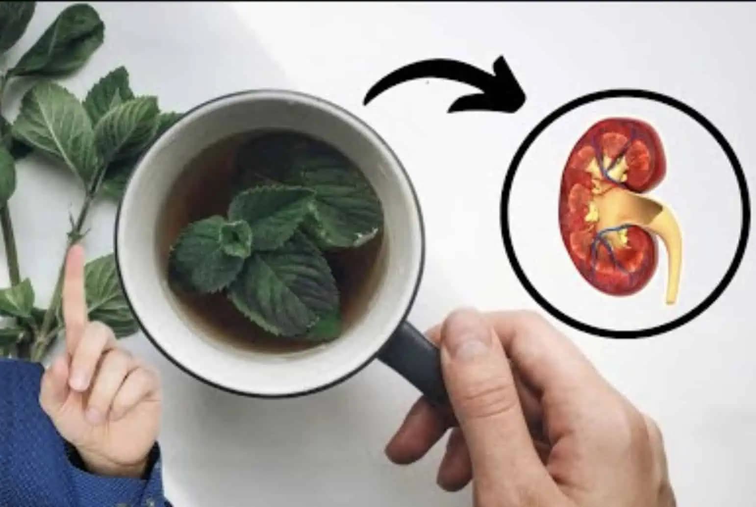 Vaše OBLIČKY už nebudú choré, ak budete piť tento ČAJ, hovorí stará múdrosť!