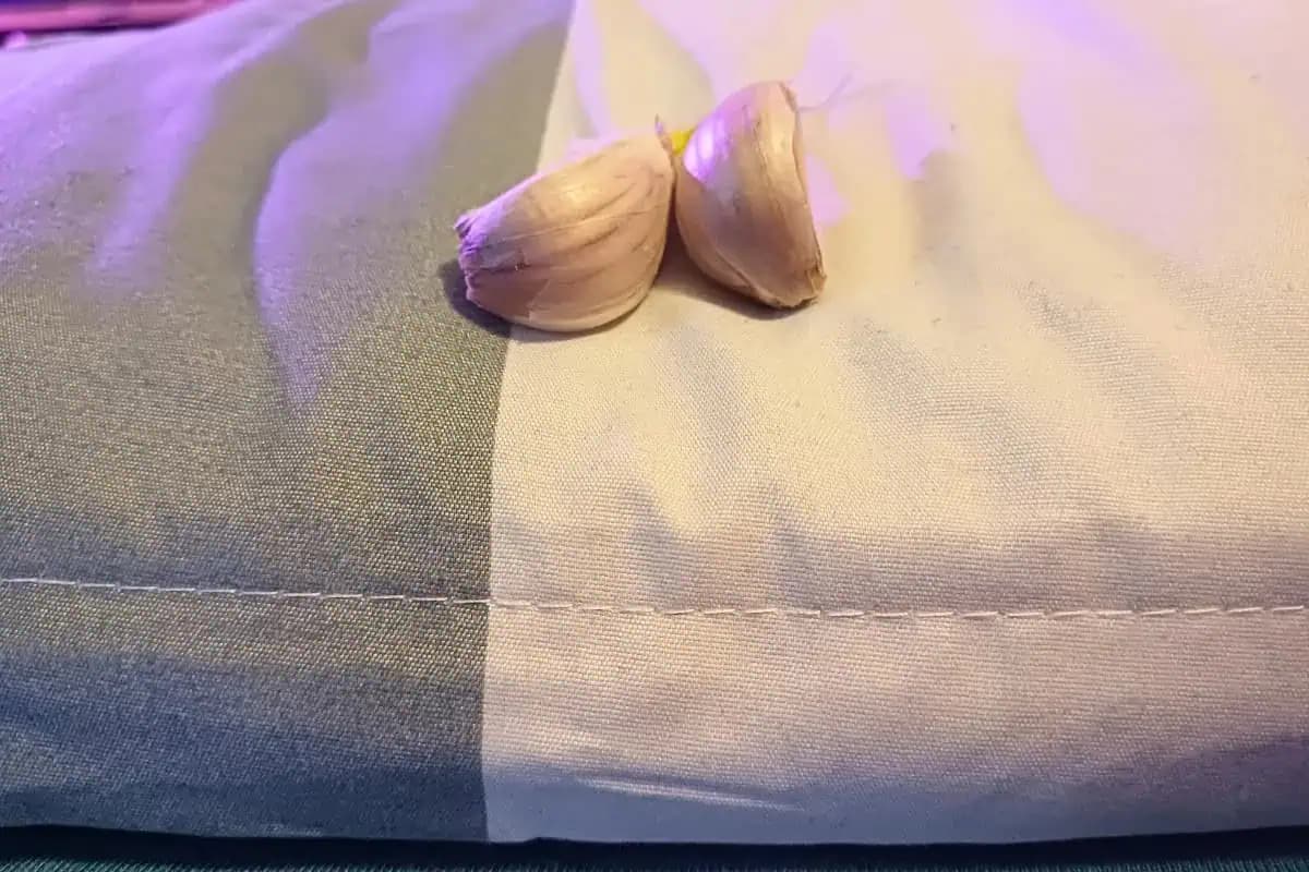 Toto je dôvod, prečo si dávam pod vankúš aj strúčik cesnaku: Vedeli to už naše babičky!